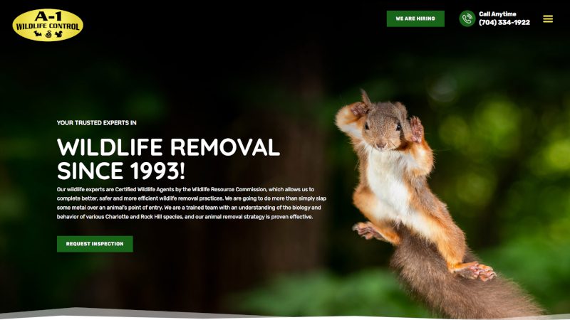 Our New Website is Live!