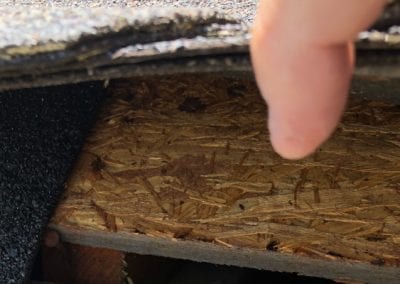 Rodent Prevention, Concord, NC