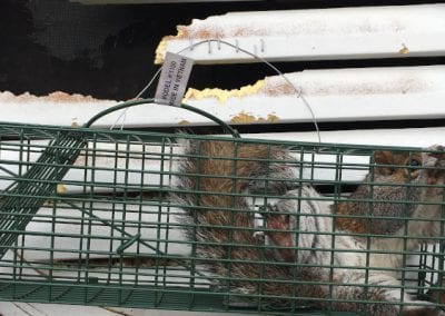 Trying to break out after breaking in