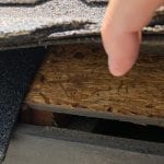 Rodent Prevention, Concord, NC