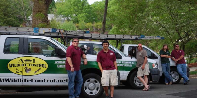 Wildlife Control in Belmont, North Carolina