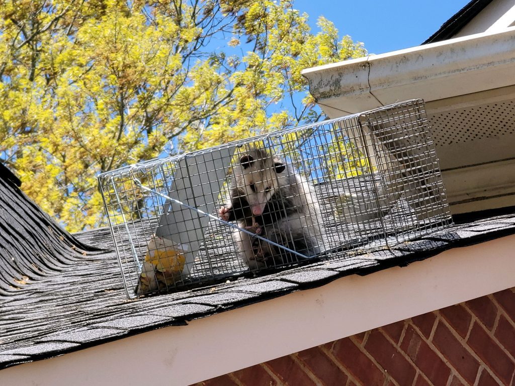 76386-MMS-1617380598791-attachment1-20210402_122132 (1)