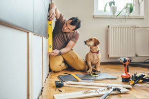 Damage Repair Tips for a Pest-Free Home
