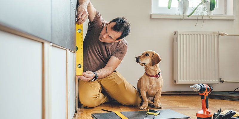 Animal Proofing in Charlotte, North Carolina