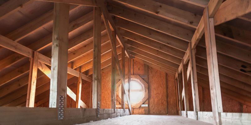 Why Damage Repair is Essential for Your Home After Wildlife Removal