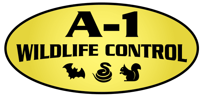 A-1 Wildlife Control